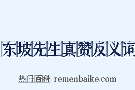 东坡先生真赞反义词是什么意思的图片